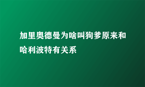 加里奥德曼为啥叫狗爹原来和哈利波特有关系