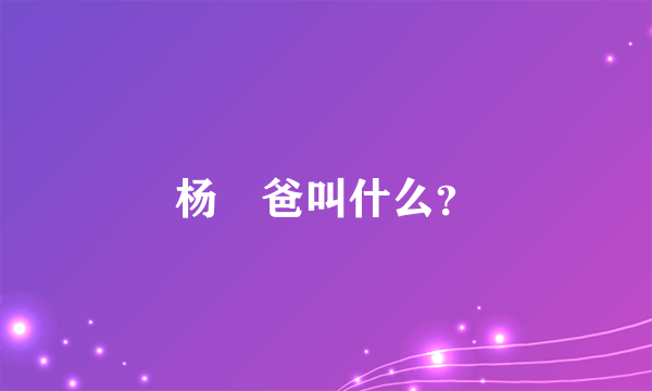 杨玏爸叫什么？