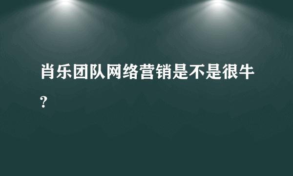 肖乐团队网络营销是不是很牛？