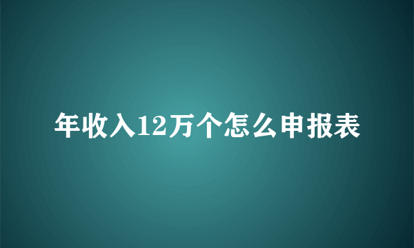 年收入12万个怎么申报表