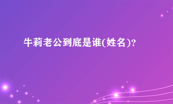 牛莉老公到底是谁(姓名)？