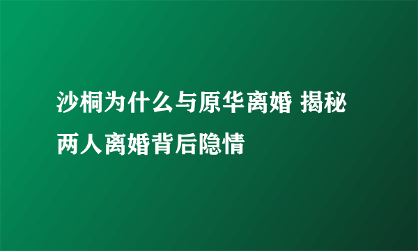 沙桐为什么与原华离婚 揭秘两人离婚背后隐情