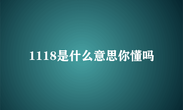 1118是什么意思你懂吗