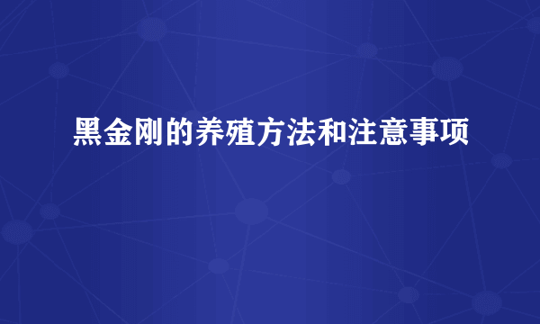 黑金刚的养殖方法和注意事项