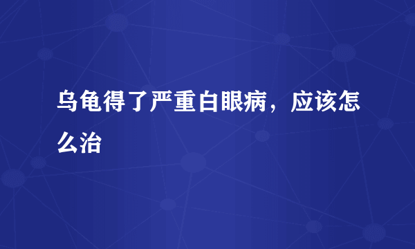 乌龟得了严重白眼病，应该怎么治