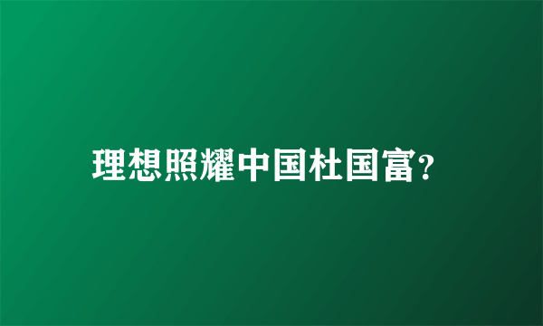 理想照耀中国杜国富？