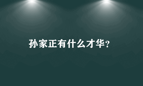 孙家正有什么才华？