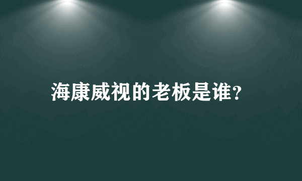 海康威视的老板是谁？