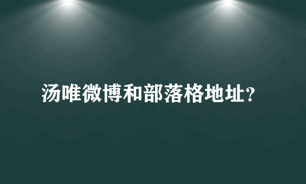 汤唯微博和部落格地址？