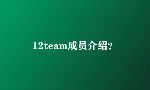 12team成员介绍？