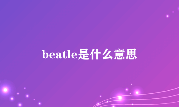 beatle是什么意思