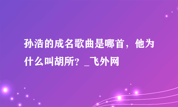 孙浩的成名歌曲是哪首，他为什么叫胡所？_飞外网