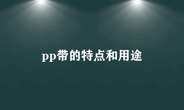 pp带的特点和用途