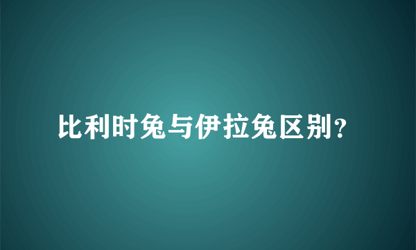 比利时兔与伊拉兔区别？