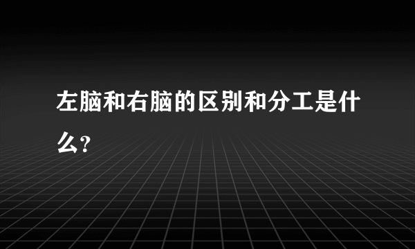 左脑和右脑的区别和分工是什么？