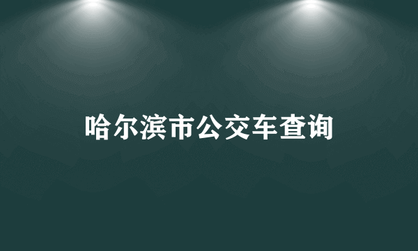 哈尔滨市公交车查询