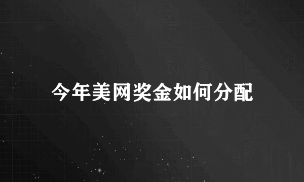 今年美网奖金如何分配