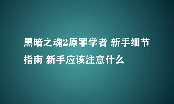 黑暗之魂2原罪学者 新手细节指南 新手应该注意什么