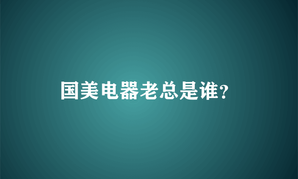 国美电器老总是谁？