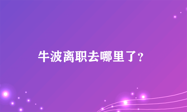 牛波离职去哪里了？