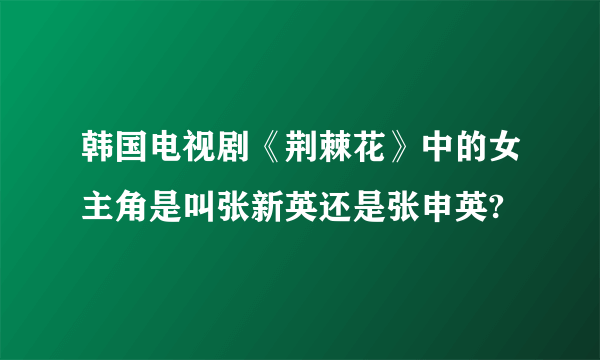 韩国电视剧《荆棘花》中的女主角是叫张新英还是张申英?