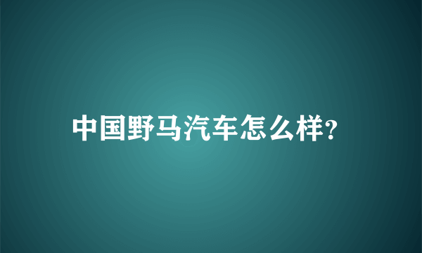 中国野马汽车怎么样？