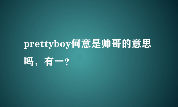 prettyboy何意是帅哥的意思吗，有一？