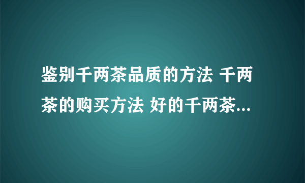 鉴别千两茶品质的方法 千两茶的购买方法 好的千两茶是什么样的