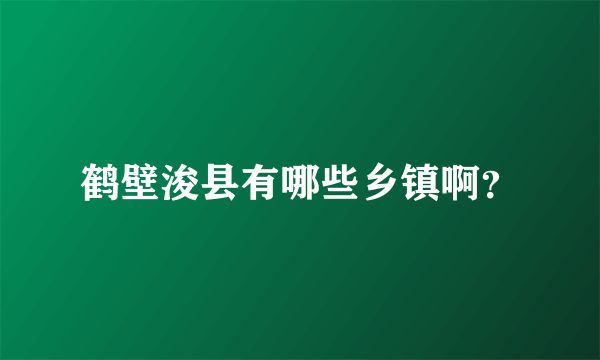 鹤壁浚县有哪些乡镇啊？