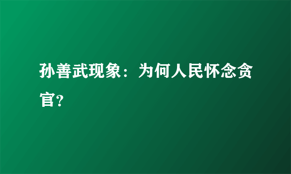 孙善武现象：为何人民怀念贪官？