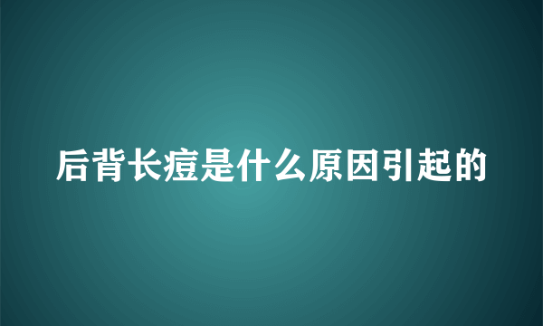 后背长痘是什么原因引起的