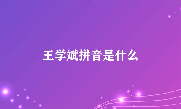 王学斌拼音是什么