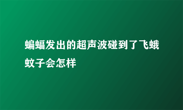 蝙蝠发出的超声波碰到了飞蛾蚊子会怎样