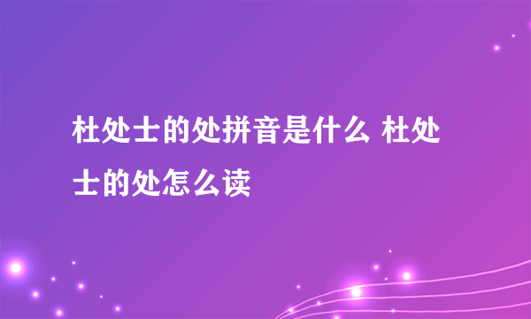 杜处士的处拼音是什么 杜处士的处怎么读