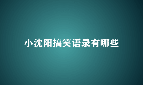 小沈阳搞笑语录有哪些