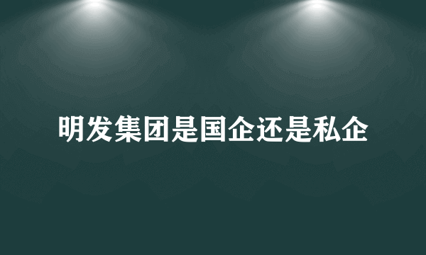 明发集团是国企还是私企