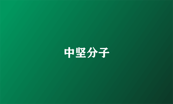 中坚分子