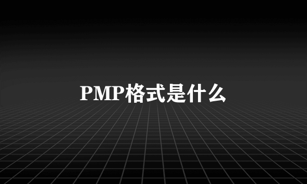 PMP格式是什么