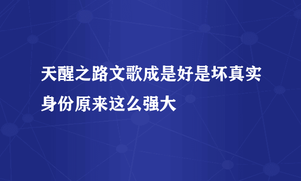 天醒之路文歌成是好是坏真实身份原来这么强大