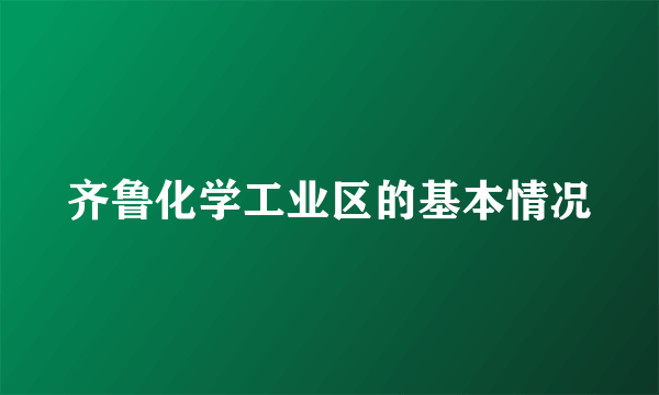 齐鲁化学工业区的基本情况