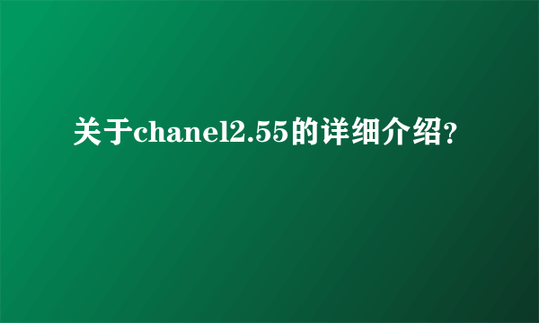 关于chanel2.55的详细介绍？