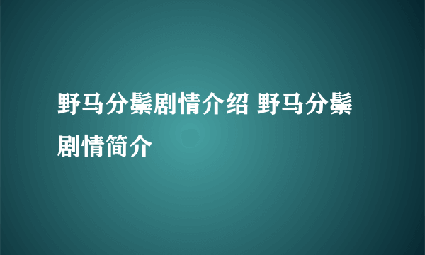 野马分鬃剧情介绍 野马分鬃剧情简介