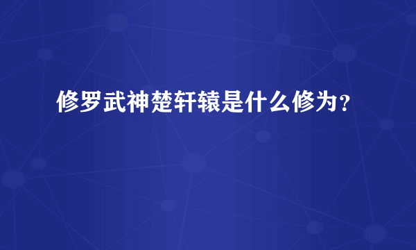 修罗武神楚轩辕是什么修为？