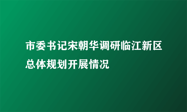 市委书记宋朝华调研临江新区总体规划开展情况