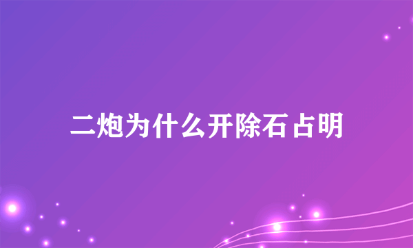 二炮为什么开除石占明