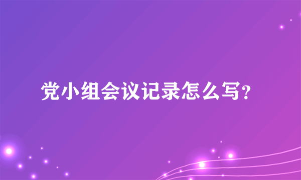 党小组会议记录怎么写？