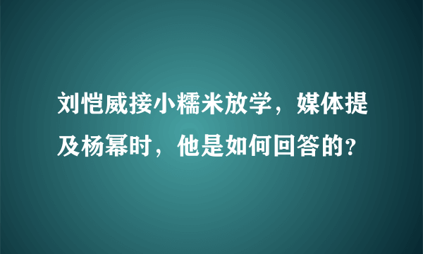 刘恺威接小糯米放学，媒体提及杨幂时，他是如何回答的？