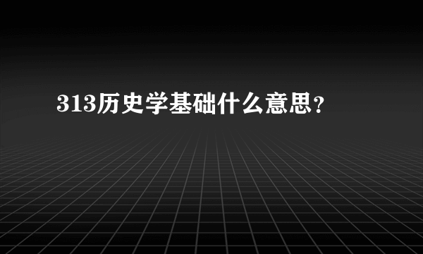 313历史学基础什么意思？