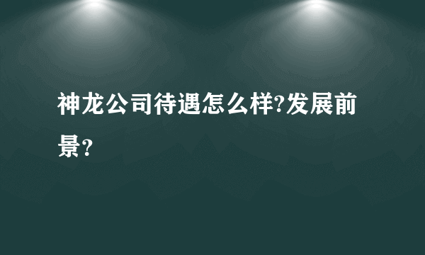 神龙公司待遇怎么样?发展前景？