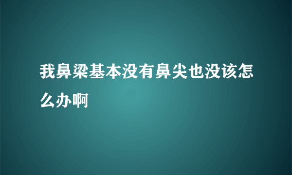 我鼻梁基本没有鼻尖也没该怎么办啊